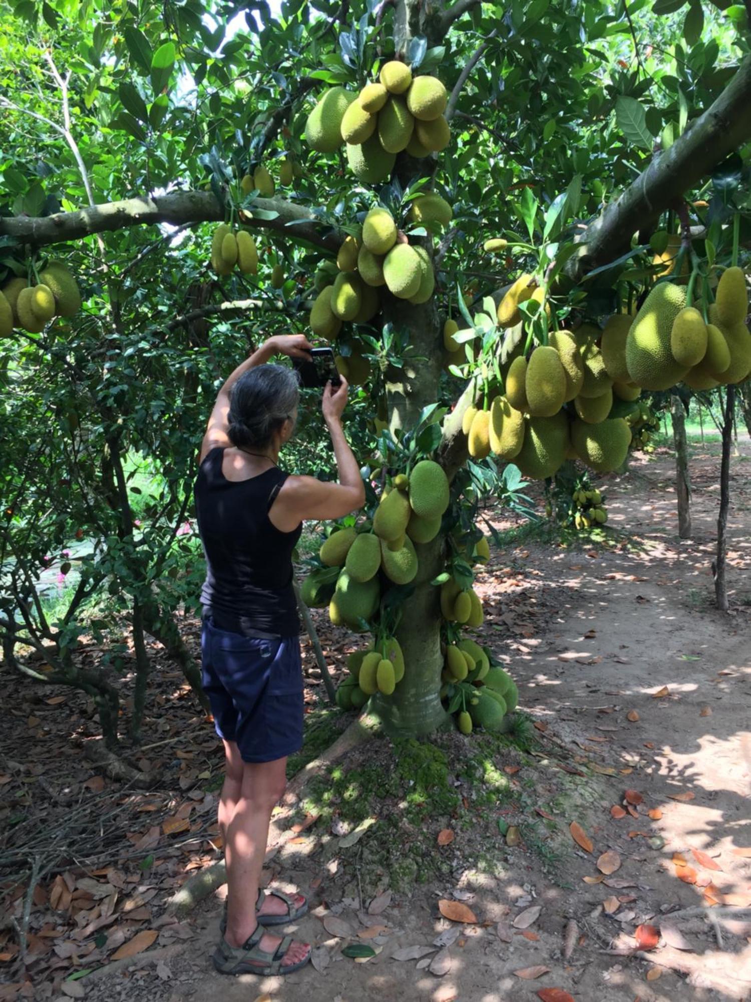 Mekong Farmstay Cantho - C.R Floating Market Can Tho Bagian luar foto